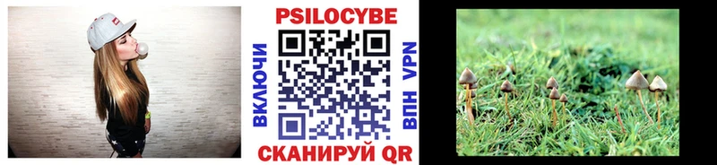 Галлюциногенные грибы мицелий  Карасук 